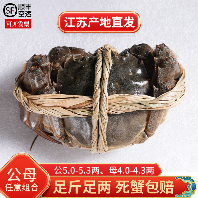 活蟹苏州阳澄湾大闸蟹鲜活特大螃蟹公5.0两母蟹4.0两官方旗舰