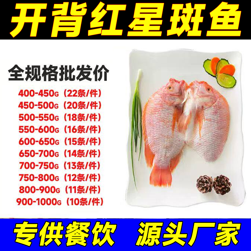 红星斑鱼珍珠斑红鲷鱼红罗非鱼新鲜生鲜冰冻彩虹鲷开背三去免处理