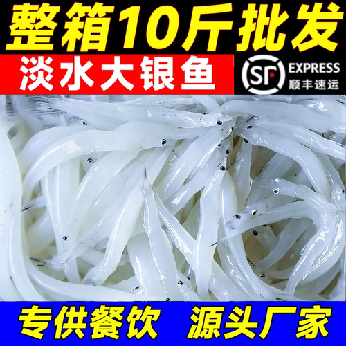 银鱼新鲜冷冻商用鲜活速冻新太湖银鱼冰鲜整箱十斤无刺鱼炒蛋蒸蛋