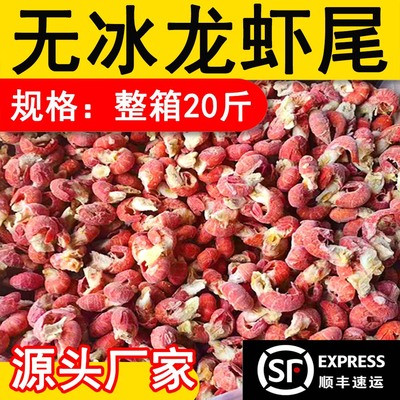 无冰衣龙虾尾鲜冻小龙虾