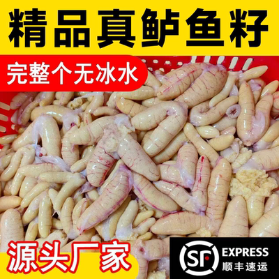 精品黑鱼鱼籽鲈鱼籽鱼蛋鱼卵鱼杂冷冻鱼鰾鱼泡火锅整箱批发无冰水