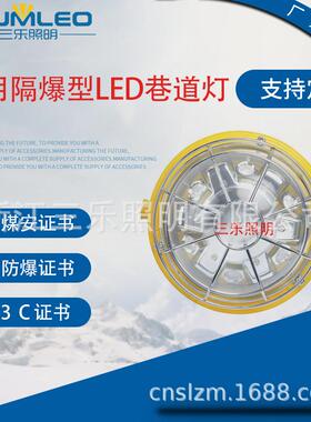 DGS45/127L(A) 矿用隔爆型LED巷道灯