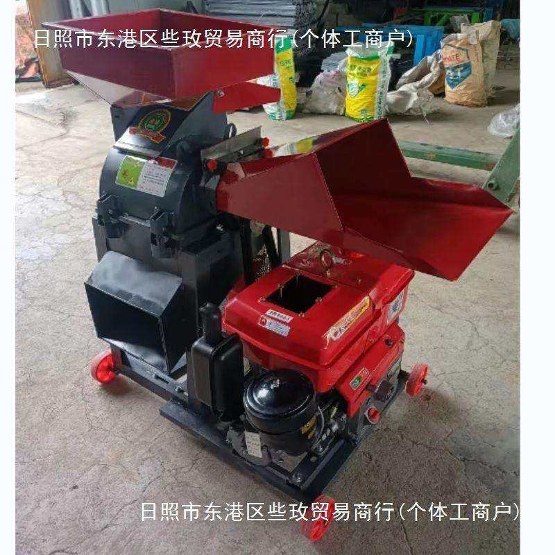 揉秸秆新款粉碎机超铡机打浆机两用精细皇竹牧甜象油电丝机其他