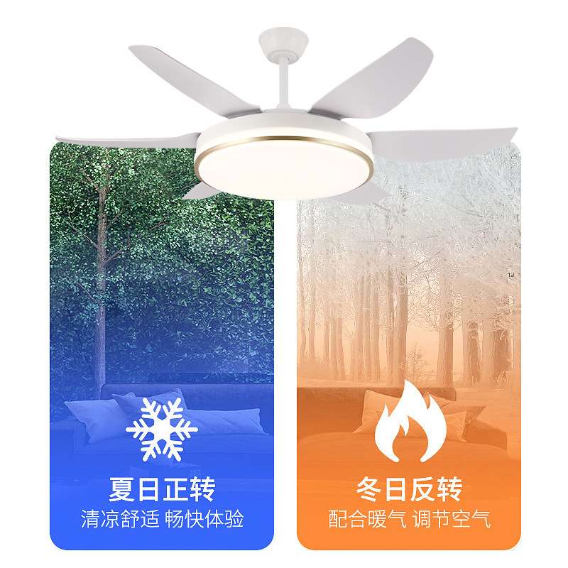 家用卧室静音餐厅42/48/52寸现代简约固定扇灯北欧客厅吊扇灯具