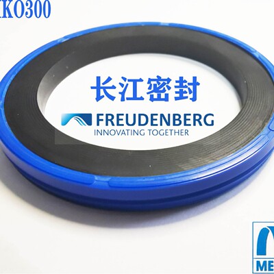 simko 300 德国CFW进口密封件 组合油封100-84.5-6 40-24.5-6