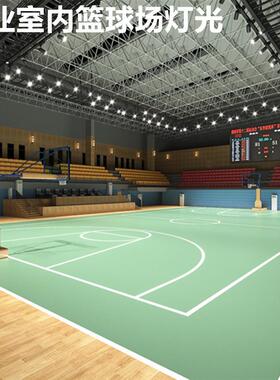 比赛专用篮球场灯具室内专业照明100W150W200W250W300W400W500W