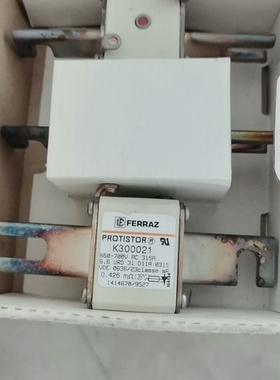 FERRAZ法雷熔断器pROTlST0R型号K300021。