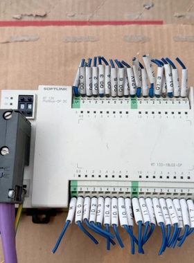 RT 133-1BL02-DP，实物拍摄，功能正常，成色好，