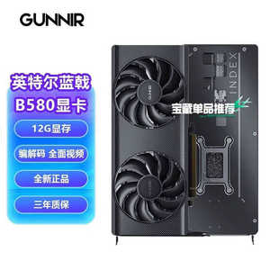 【维修】蓝戟 intel ARC B580 12G INDEX独立显