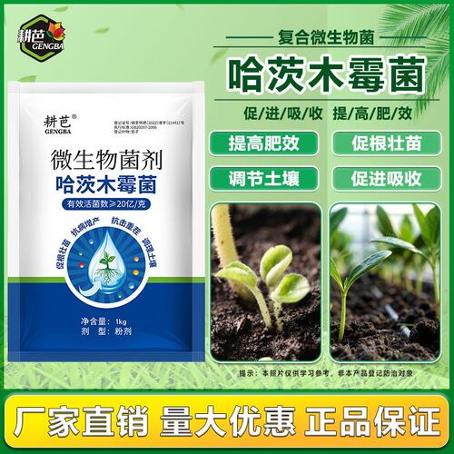 耕芭20亿哈茨木霉菌调酸碱促生根微生物菌防治根系真菌问题提品质
