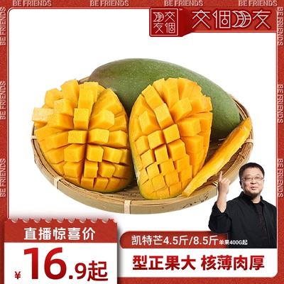 【交个朋友】现摘四川攀枝花凯特芒新鲜当季特大水果大青皮芒果