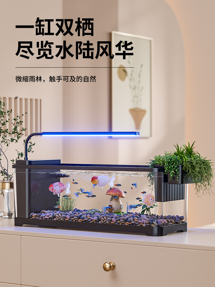 鱼缸小型客厅2025新款过滤制氧一体机简约生态造景桌面侧滤溪流缸