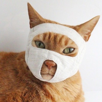防猫叫扰民神器猫嘴套防叫猫咪防叫神器不让猫叫的神器防抓咬面罩