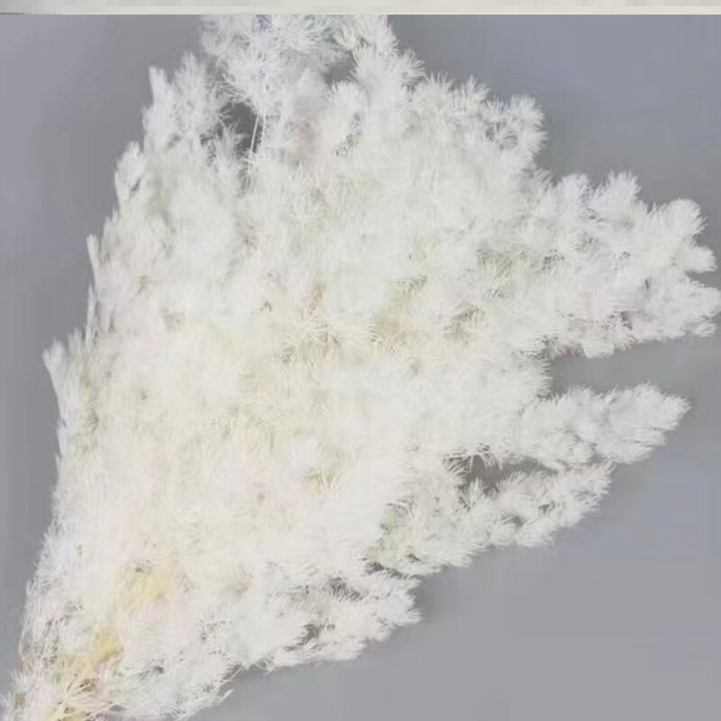 云南蓬莱松diy永生花干花客厅居家装饰软装礼盒diy花材网红花束