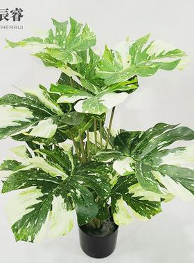 仿真植物龟背树盆栽 绿植装饰盆景Simulation green plant跨境