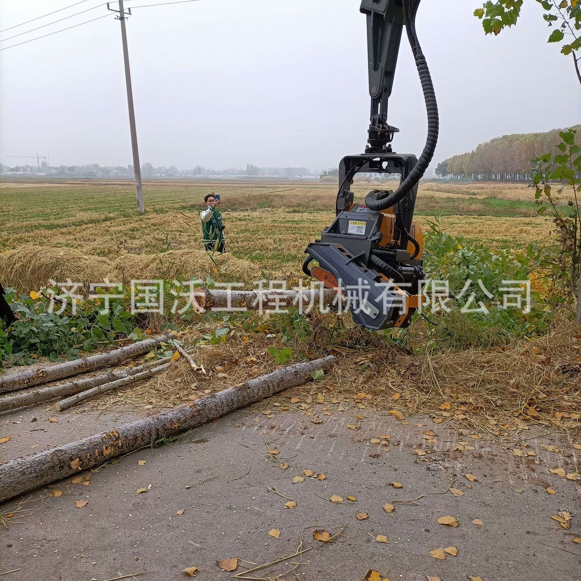 林木业伐树机 旋转抱夹式伐木机型号 伐木剪枝自动砍伐机图片