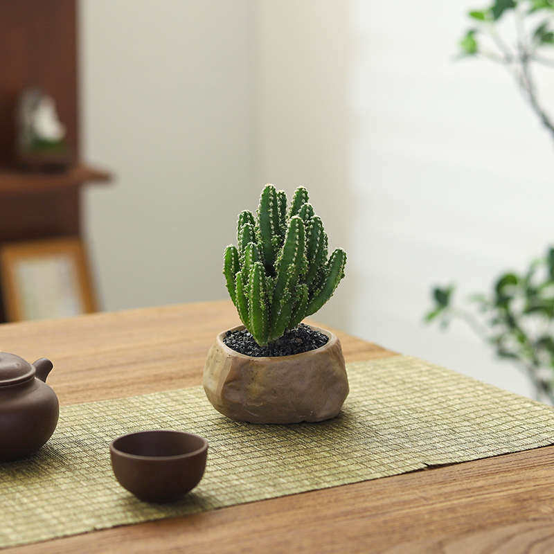 万重山多肉仙人球懒人室内四季好养盆景办公室桌面小型绿植物盆栽