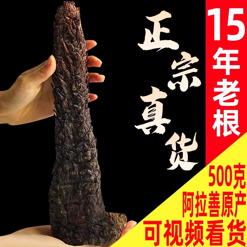 肉苁蓉中药材阿拉善内蒙古整根泡酒锁阳官方旗舰店正品荒漠油苁蓉