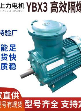 上海YBX3-315M-875W电机防爆证全技改项目源头厂家直供应