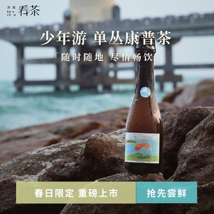 【春日限定】浔岚看茶 气泡系列 少年游单丛乌龙康普茶 375ml瓶装