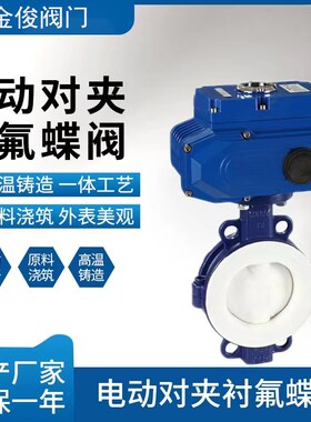 电动对夹衬氟蝶阀 D971F46-10/16C/P 电动防腐蝶阀