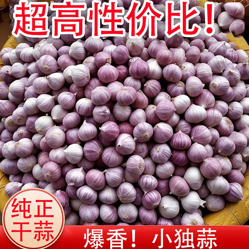 2026年云南紫皮独头蒜5斤新鲜干蒜大蒜头特大果当季农家蔬菜整箱
