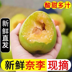 正宗广西油奈新鲜青奈李油奈李子脆甜脱骨李青脆李当季农家水果