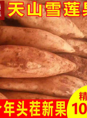 云南天山雪莲果新鲜水果9斤当季整箱包邮大果红心特级云南雪连果5