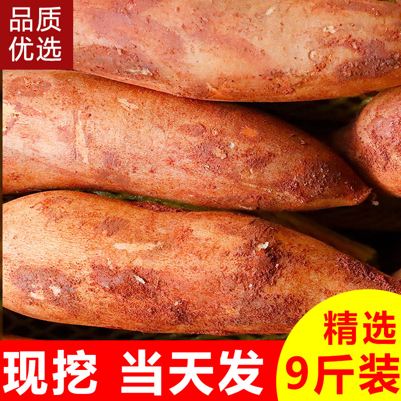 现货速发!云南天山雪莲果新鲜水果9斤当季整箱红心特级雪连果10