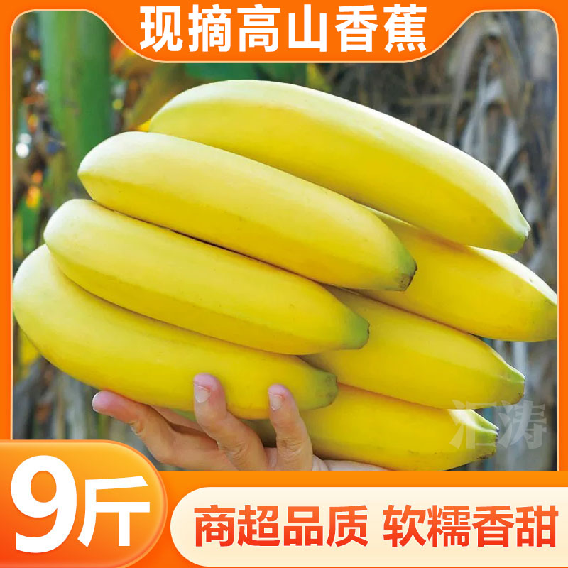 广西正宗高山甜香蕉绿皮香蕉青皮自然熟热带新鲜水果香甜现砍现发