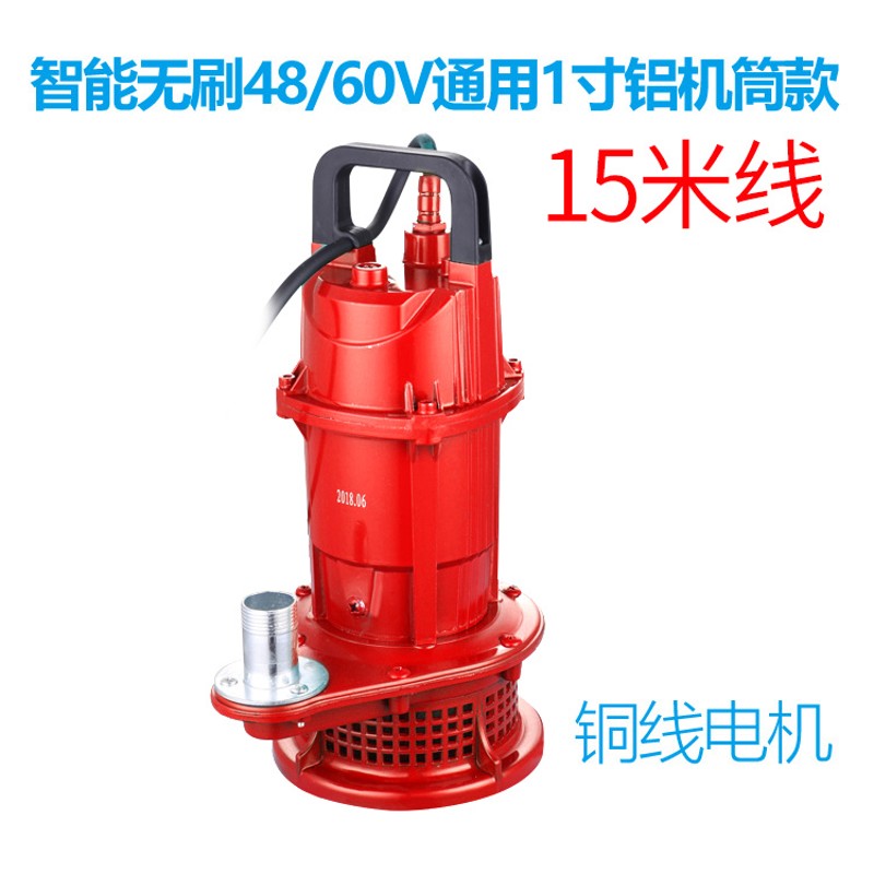 1寸2寸3寸永磁无刷直流潜水泵直流泵48V60V电动车电瓶车抽水泵