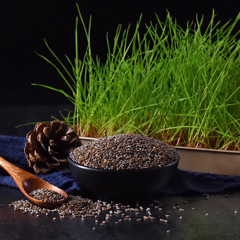 黑金谷米血燕麦 500g5袋燕麦陕西五谷杂粮粥饭原料粗粮大米