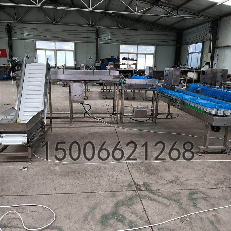 全自动生蚝分拣机 水产品海参鲍鱼料盒重量分选机 小龙虾分级机器,五金/工具,其他包装设备,淘宝优惠券,粉丝福利购,淘宝优惠卷