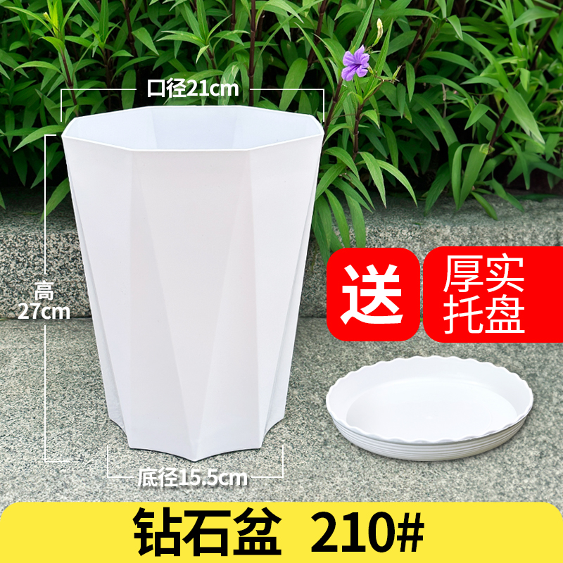 绿植大花盆客厅家用轻奢高级感塑料龟背芋天堂鸟龙血W树脂加厚耐
