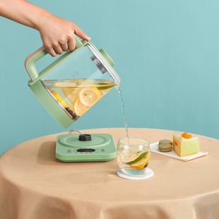 素养生壶D63家用多功能办公室小型煮茶器花茶壶电热烧水壶 生活元