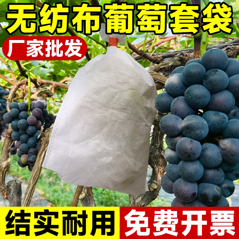 无纺布葡萄套袋水果新型防虫防水防雨网袋子桃子梨子防鸟果袋套袋