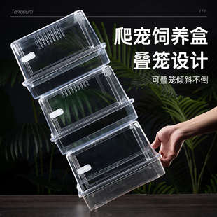 塑料爬虫饲养盒蜥蜴睫角守宫蛇角蛙甲虫蚕宝宝仓鼠窝爬宠箱爬缸透