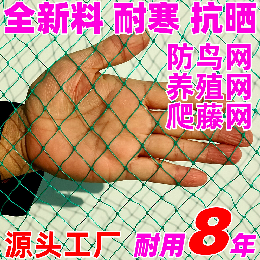 牛老师防护网农用防鸟网全新料厂家直销可开票农用网果园网种植网,农机/农具/农膜,农用防鸟网,淘宝优惠券,粉丝福利购,淘宝优惠卷