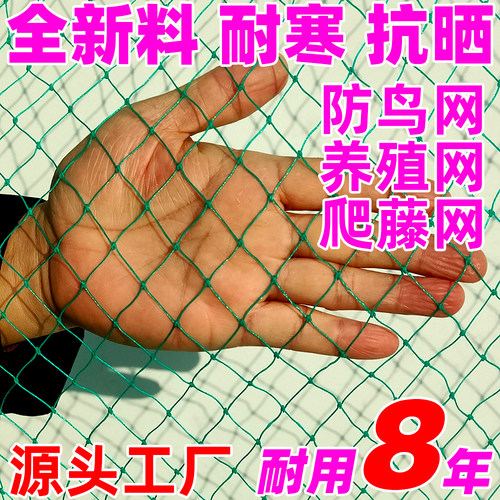 牛老师全新料农用果园防鸟网