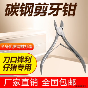 不锈钢小猪剪牙钳仔猪猪用牙齿兽用兔子剪牙器猪牙剪剪猪剪刀钳子