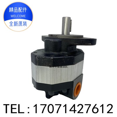 CB-FC液压油泵齿轮泵CB-FC10 25 32 40 50 CB-FC63-FL FR FHL FPR