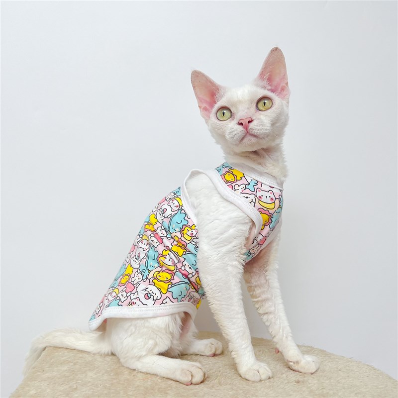 斯芬克斯无毛德文猫衣服夏季空z调服纯棉弹力工字包边背心涂鸦矮