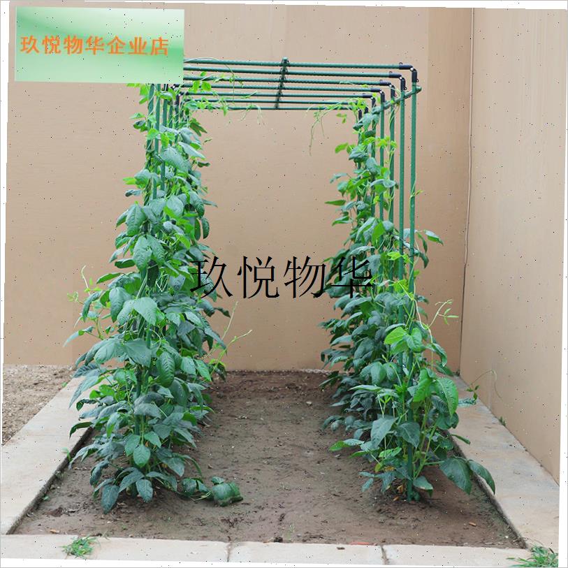 四季豆架杆黄瓜豆角蔬菜爬藤架种菜番茄西瓜支撑V杆植物棚搭花架,