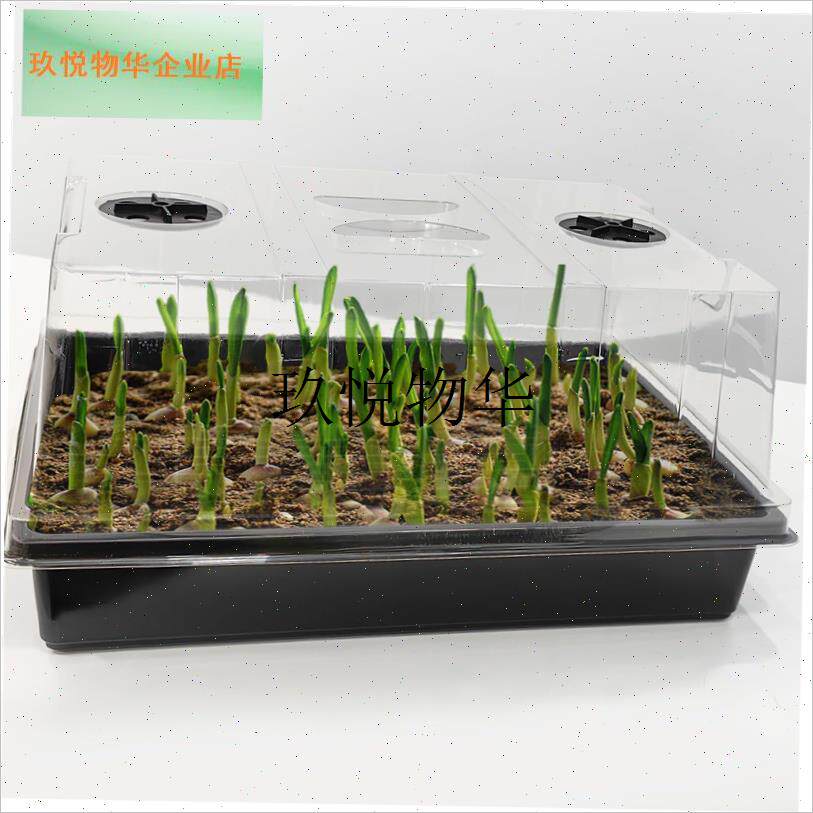 加高育苗盒扦插出芽带盖v子多肉闷养保温播种盘保湿育苗盘箱,