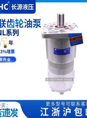 双联齿轮泵CBNL-F563/F520/-F540/F532/F520/F525-BFHL