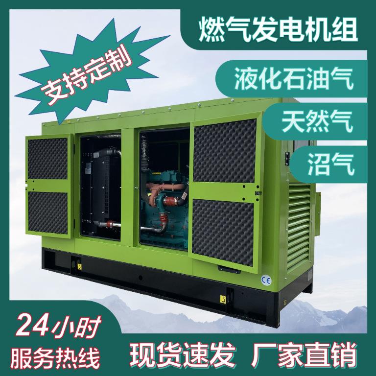 300KW康明斯天然气机组集装箱工地工厂医院房地产用家用发电机组