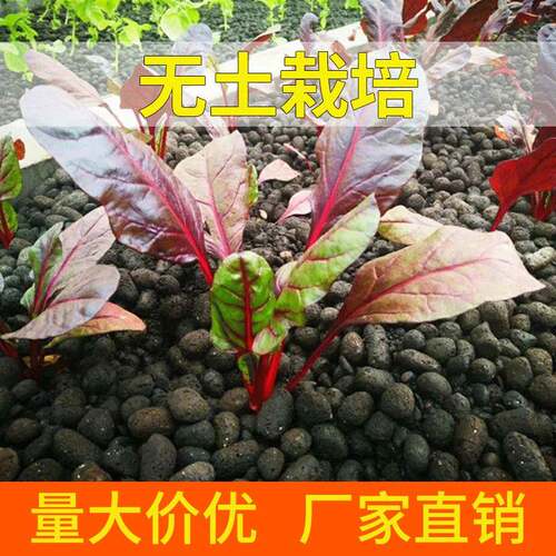 畅九衢 无土栽培陶粒10-30mm 量大价优就近发货
