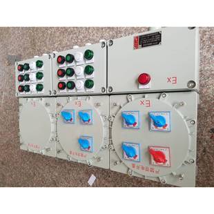 带雨棚支架防爆电气配电控制箱 防爆控制箱 开关照明动力仪表箱