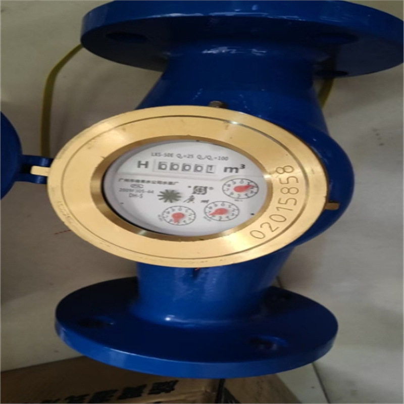 LXS-50广州自来水表UPVC塑料水表卧式水表304L不锈钢316L立式水表