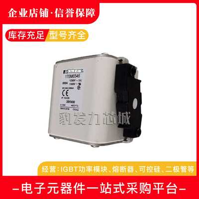 170M6646 170M6647 170M6648 170M6649 170M6650 170M6651熔断器